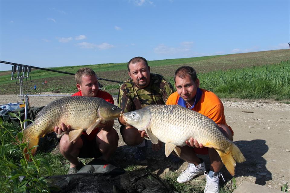 senzor peste tot - 4.jpg